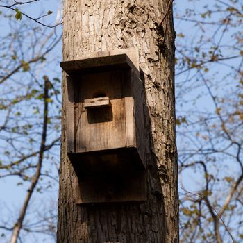 Nest box on a tree in a public park.