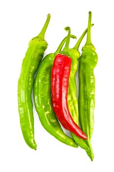 Several green and one red capsicums isolated on white background