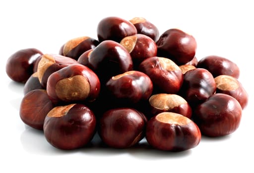 Horse chestnut on a white background