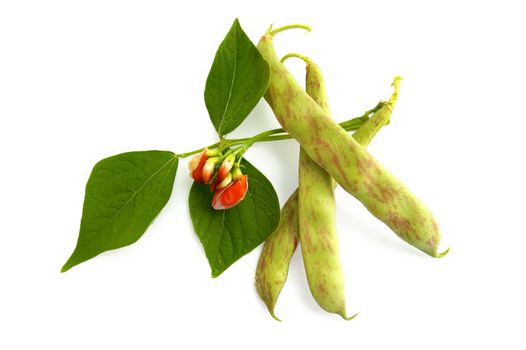 Green with red stripes green beans, pink flower and green leaves isolated on white background