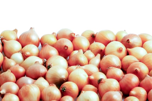 Image series of fresh vegetables on white background - onion