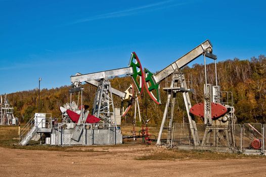 Several pumps are rocking on the background of yellow trees and blue sky