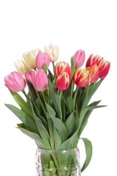 bouquet of fresh tulips on the white background