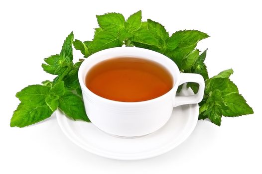 Herbal tea in a white porcelain dish with sprigs of mint isolated on white background