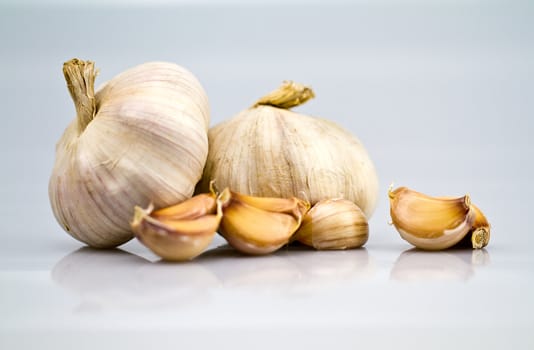 Two garlic bulbs with few opened cloves on bluish background
