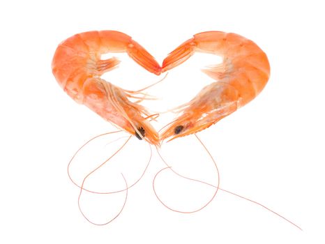 shrimp, photo on the white background 