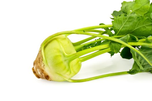 One head of cabbage kohlrabi with leaves isolated on white background