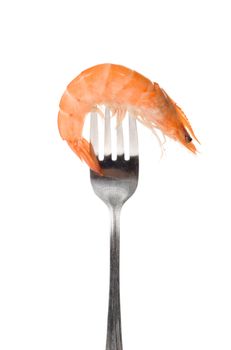 Shrimp on fork, photo on the white background