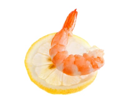 single shrimp, photo on the white background