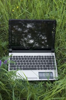 Opened the laptop on a background of green grass and a variety of flowers