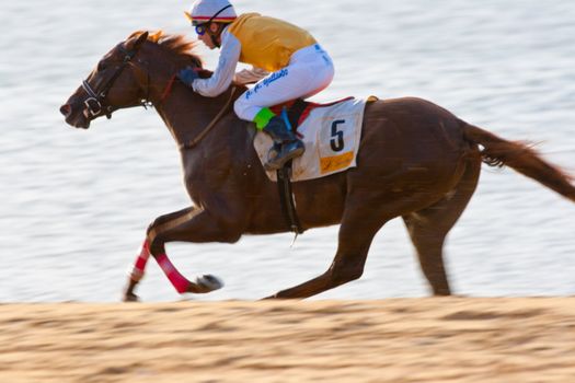 SANLUCAR DE BARRAMEDA, CADIZ, SPAIN - AUGUST 07: Unidentified rider race horses on Sanlucar de Barrameda beach on August 28, 2008 in Sanlucar de Barrameda, Cadiz, Spain.