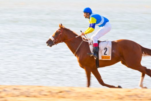 SANLUCAR DE BARRAMEDA, CADIZ, SPAIN - AUGUST 07: Unidentified rider race horses on Sanlucar de Barrameda beach on August 28, 2008 in Sanlucar de Barrameda, Cadiz, Spain.