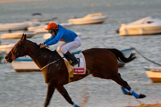 SANLUCAR DE BARRAMEDA, CADIZ, SPAIN - AUGUST 07: Unidentified rider race horses on Sanlucar de Barrameda beach on August 28, 2008 in Sanlucar de Barrameda, Cadiz, Spain.