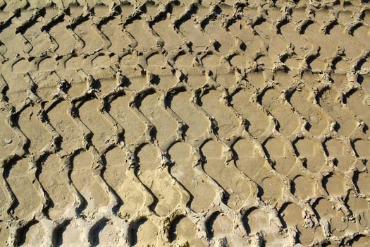 bulldozer track