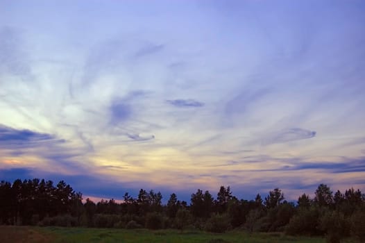 A beautiful sunrise, clouds, painted in red and orange colors, the trees in the meadow