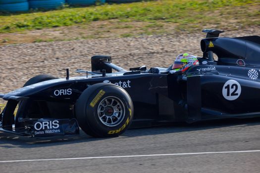 JEREZ DE LA FRONTERA, SPAIN - FEB 10: Pastor Maldonado of Williams F1 races on training session on February 10 , 2011, in Jerez de la Frontera , Spain