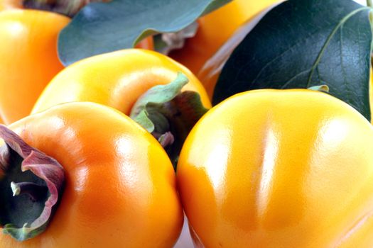 Persimmon