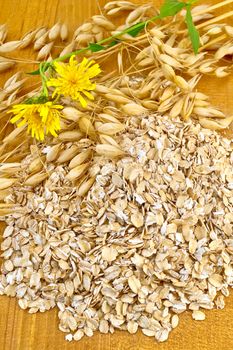 Oat flakes with yellow wild flowers and stems of oats on a wooden board