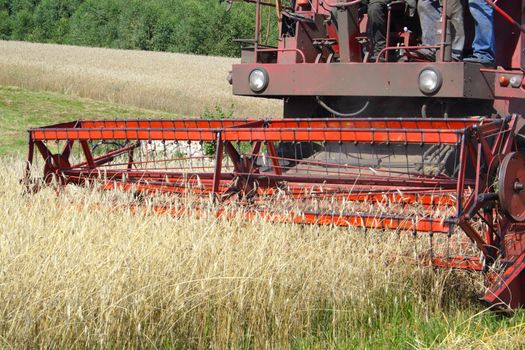 combine harvester in track of work gatherings of cereal