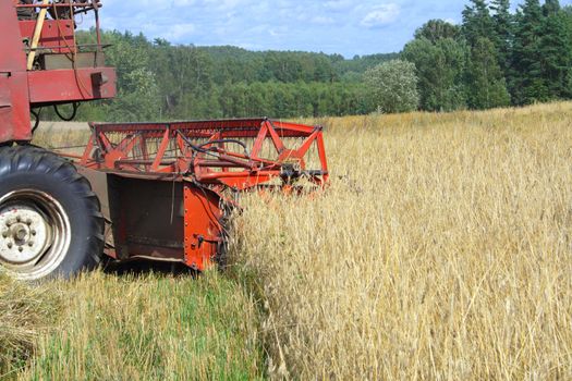 combine harvester in track of work gatherings of cereal