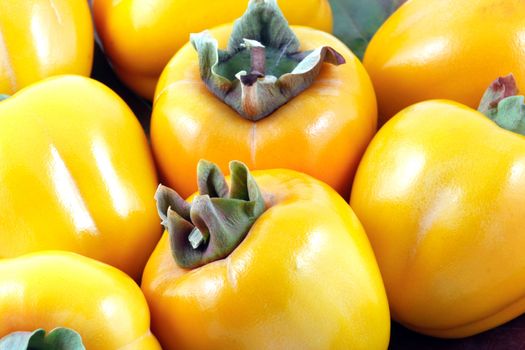 Persimmon