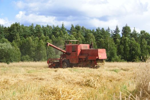 combine harvester in track of work gatherings of cereal