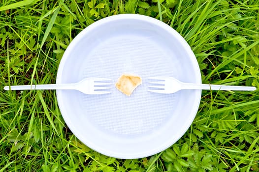 One slice of potato chips on a white plate with two forks on a background of green grass