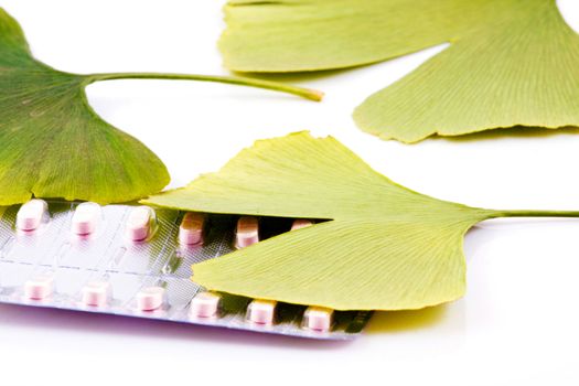 Ginkgo biloba