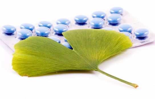 Ginkgo biloba