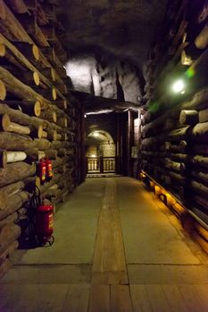 Wieliczka Salt Mine continuously produced table salt from the 13th century until 2007 as one of the world's oldest operating salt mines.