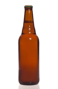 Beer bottle isolated on the white background 