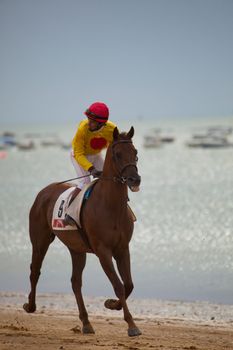 SANLUCAR DE BARRAMEDA, CADIZ, SPAIN - AUGUST 07: Unidentified riders at the start of race horses on Sanlucar de Barrameda beach on  August 07, 2010 in Sanlucar de Barrameda, Cadiz, Spain.