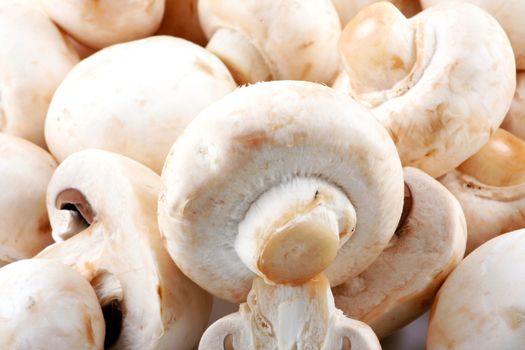 Fresh mushroom