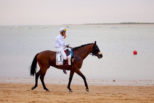 SANLUCAR DE BARRAMEDA, CADIZ, SPAIN - AUGUST 07: Unidentified riders at the start of race horses on Sanlucar de Barrameda beach on  August 07, 2010 in Sanlucar de Barrameda, Cadiz, Spain.