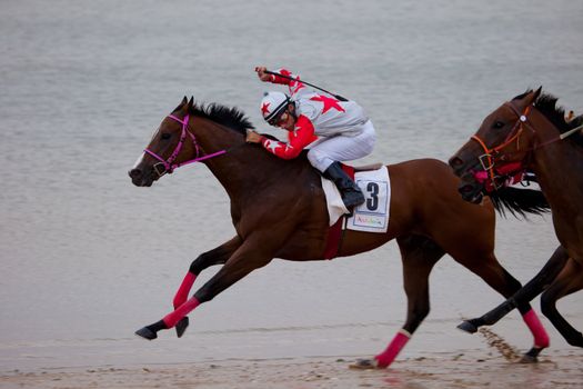 SANLUCAR DE BARRAMEDA, CADIZ, SPAIN - AUGUST 07: Unidentified riders at the start of race horses on Sanlucar de Barrameda beach on  August 07, 2010 in Sanlucar de Barrameda, Cadiz, Spain.