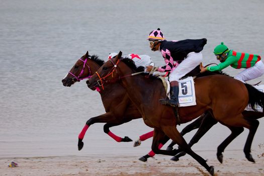 SANLUCAR DE BARRAMEDA, CADIZ, SPAIN - AUGUST 07: Unidentified riders race horses on Sanlucar de Barrameda beach on August 07, 2010 in Sanlucar de Barrameda, Cadiz, Spain.