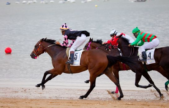 SANLUCAR DE BARRAMEDA, CADIZ, SPAIN - AUGUST 07: Unidentified riders at the start of race horses on Sanlucar de Barrameda beach on  August 07, 2010 in Sanlucar de Barrameda, Cadiz, Spain.