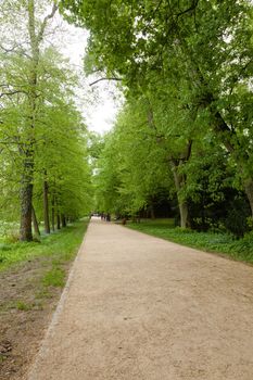 Kornik Arboretum  - the largest and oldest arboretum in Poland. It was founded in the first mid- nineteenth century