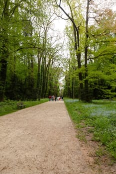 Kornik Arboretum  - the largest and oldest arboretum in Poland. It was founded in the first mid- nineteenth century