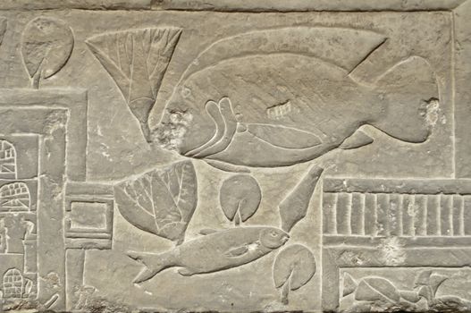 Ancient Egypt hieroglyph writing and sign on stone wall