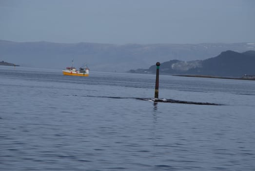 fishing boat