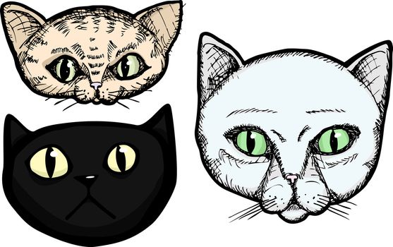 Three hand-drawn cat head portrait illustrations isolated on a white background