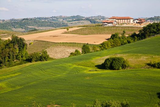 Landscape of Monferrato area in Piedmont region - Italy