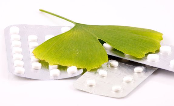 Ginkgo biloba