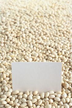 Raw navy beans (haricot beans, Boston beans, pea beans, Yankee beans) with a blank card (Selective Focus, Focus on the card)