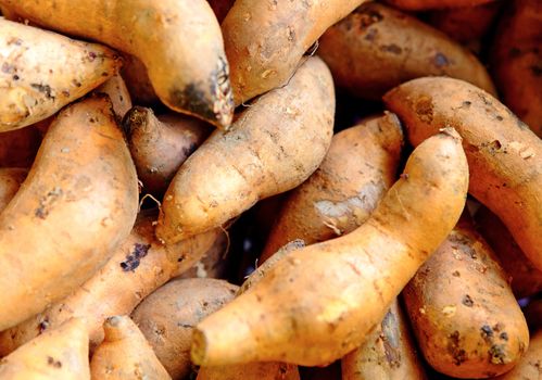 Organic sweet potatoes at market