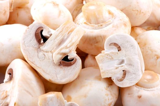 Fresh mushroom