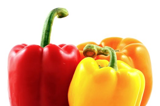 Peppers on white background