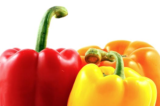 Peppers on white background