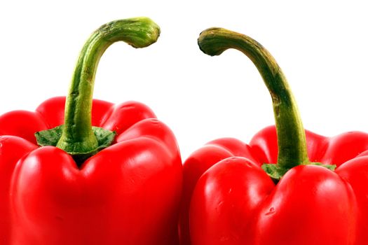 Peppers on white background